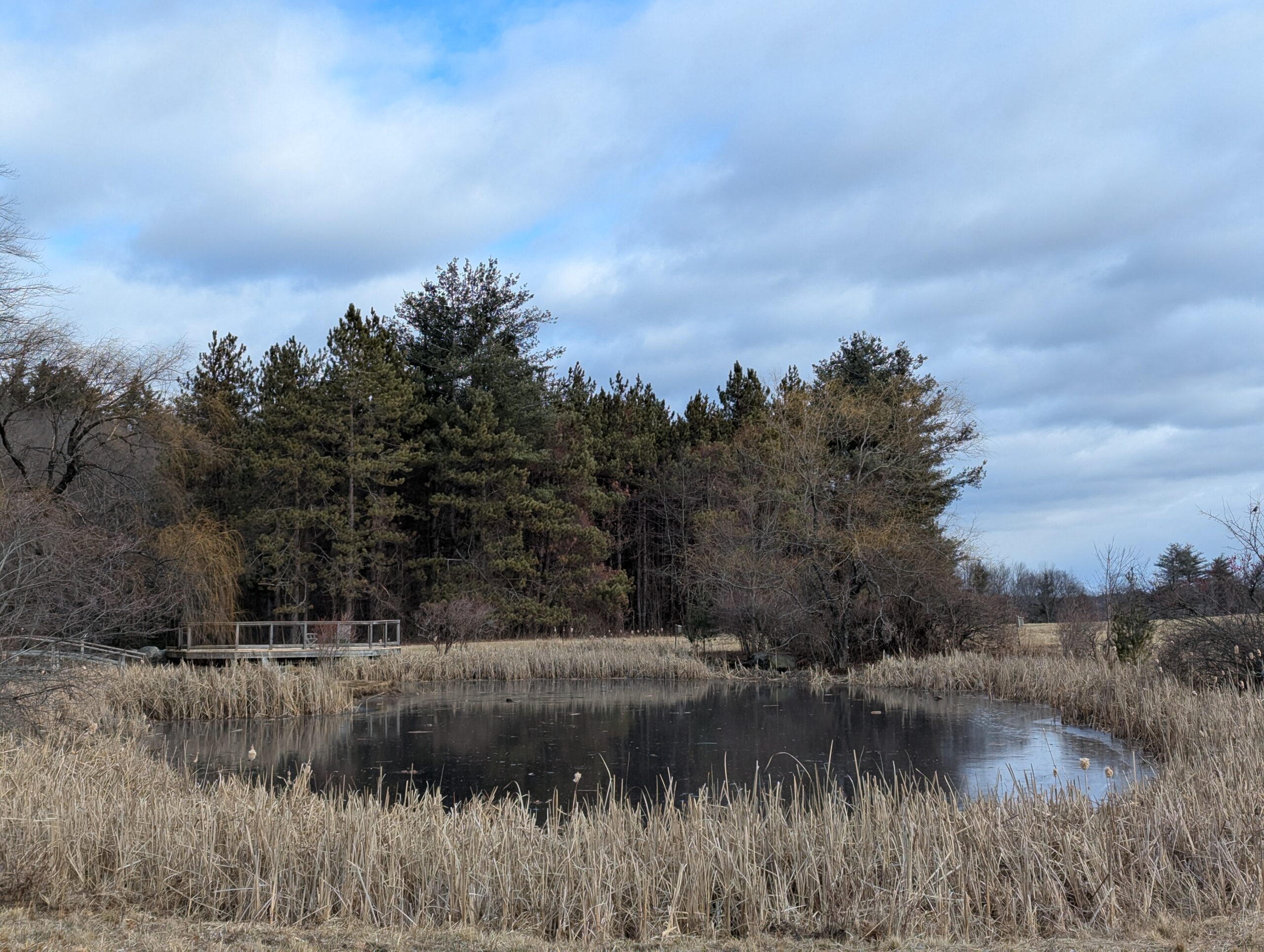 Doyle Community Park